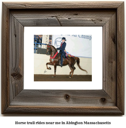 horse trail rides near me in Abington, Massachusetts